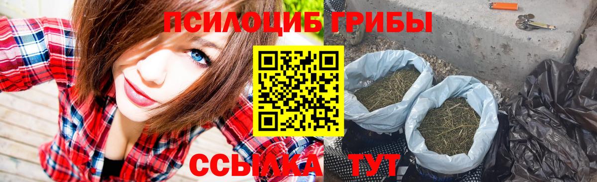 Псилоцибиновые грибы прущие грибы Норильск